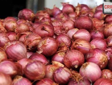 onion750555559