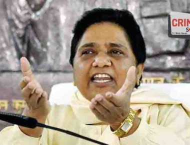 mayawati_s_650_080816110927564564998