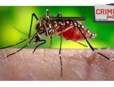 dengue_14zxc14835_100516021433_101216023427