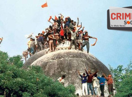 2326888xcvbcxvb93-bm_6