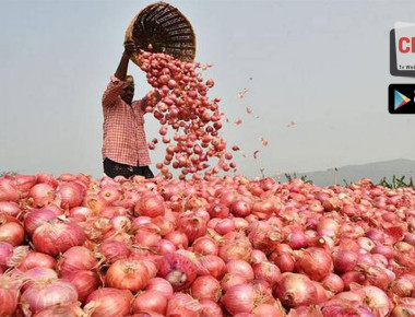 3525698onion