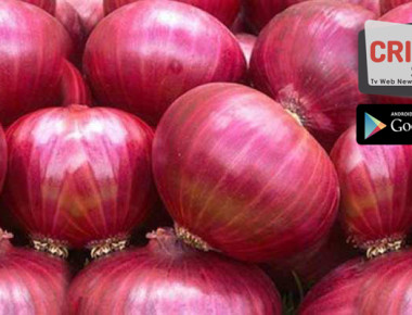 36060hfg2261-onion-price1