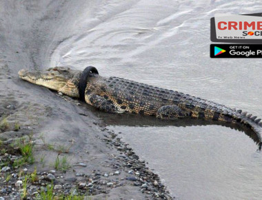 croawddwdawadwc-tyre-indonesia