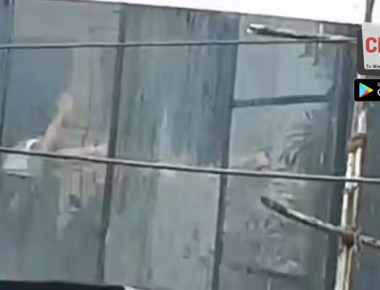 d92ba4e3074zxczxc_original-2 copy