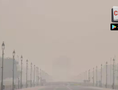 0993923011b029e9zxczxc