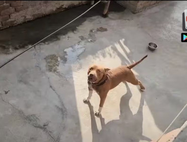 557d7c831f486a5b597c51xcvbxcb63976962013425_original-2 copy