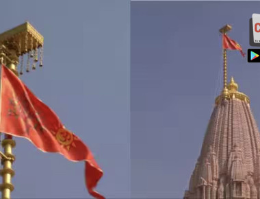 557d7c831f486axcvxc6962013425_original-2 copy