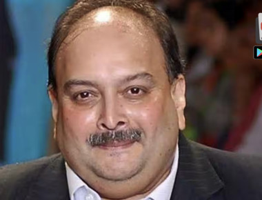 90bf7abcd3eb72fbce2cxcab9c32451941761134092908708_original copy