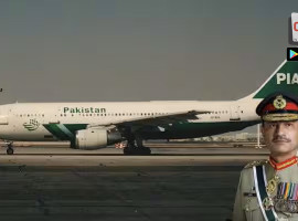 ecccdeaa168666acxvxcvb501718684395108208_original-2 copy