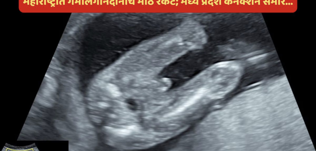 ecccdeaa168666adxcvxc208_original copy