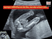 ecccdeaa168666adxcvxc208_original copy