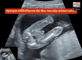 ecccdeaa168666adxcvxc208_original copy