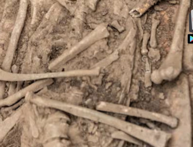 dagdu-dada-sxcvxcvshinde-maharashtra-times-6 copy