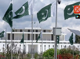 99eb01af445255698693ff471775802016037240_original copy