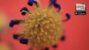Chandipura virus in Gujarat: 22 children die; 35 cases confirmed
