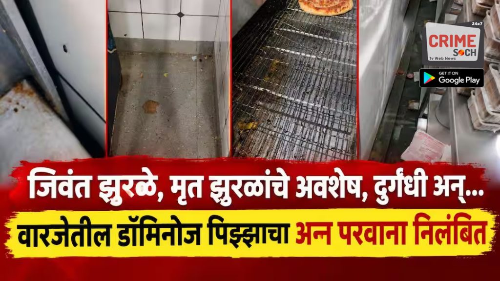 Pune FDA Action: जिवंत झुरळं, मृत झुरळांचे अवशेष, दुर्गंधी अन्…,वारजेतील डॉमिनोज पिझ्झाचा अन्न परवाना निलंबित, मुलांना डॉमिनोझ पिझ्झा खाऊ घालण्याआधी हे पाहाच