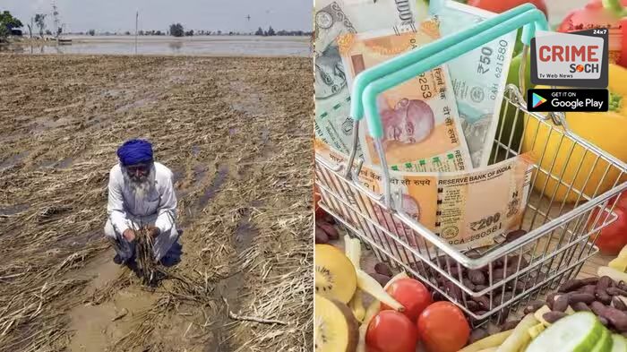 El Nino Impact : जगात उपासमारीची भीती; महागाईनं काळजाचा ठोका चुकवला, LPG नंतर आता अन्नधान्याच्या दरांचा रेकॉर्ड उच्चांक